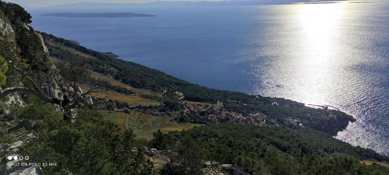 Silvana * Sveta Nedelja (Hvar)