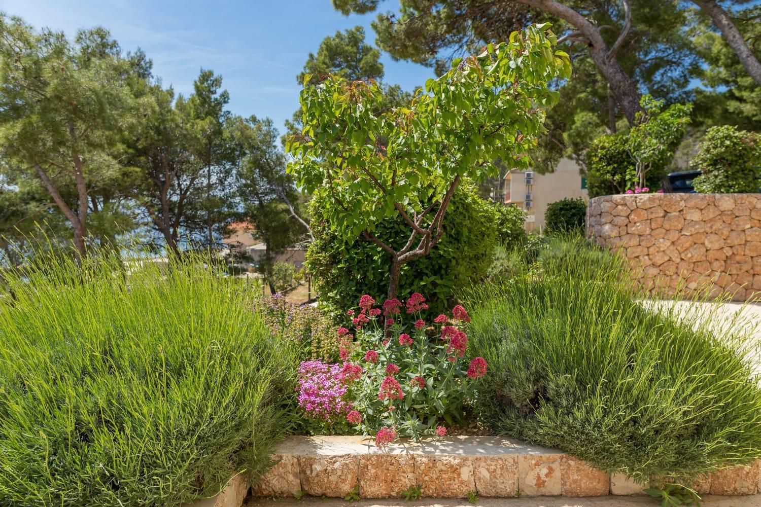 Apartamento Silvana Sveta Nedelja (Hvar)
