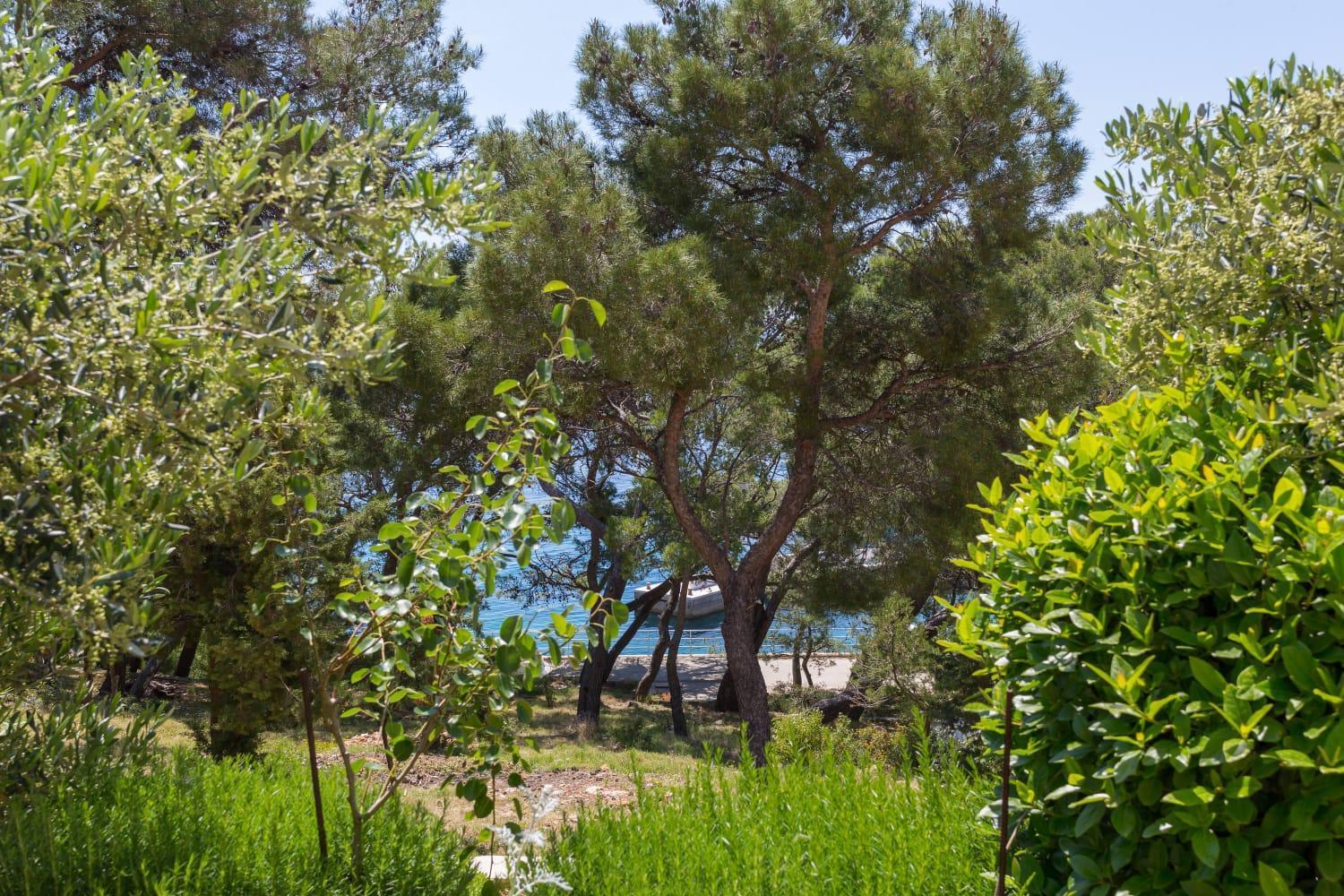 Silvana Sveta Nedelja (Hvar)